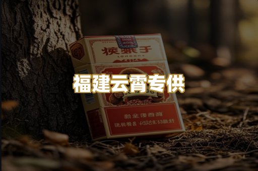 福建云霄专供